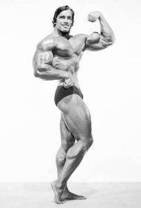 Arnold Schwarzenegger in a bodybuilding modeling picture. 